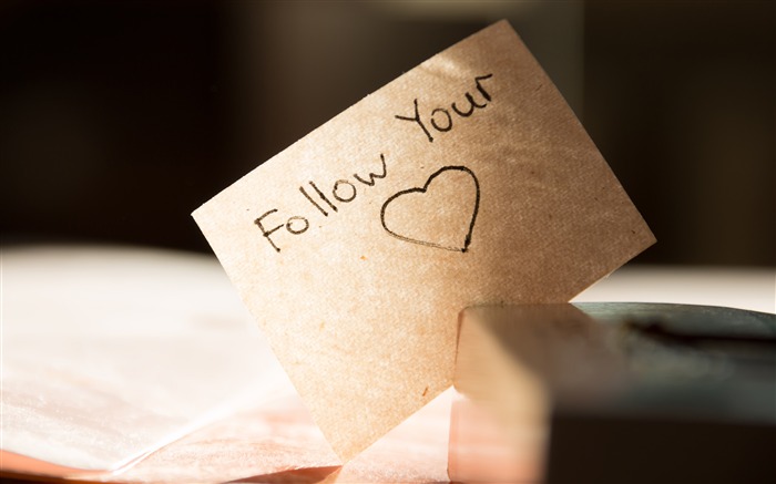 Follow Your Heart, Romantic, Love, Paper Vistas:7147