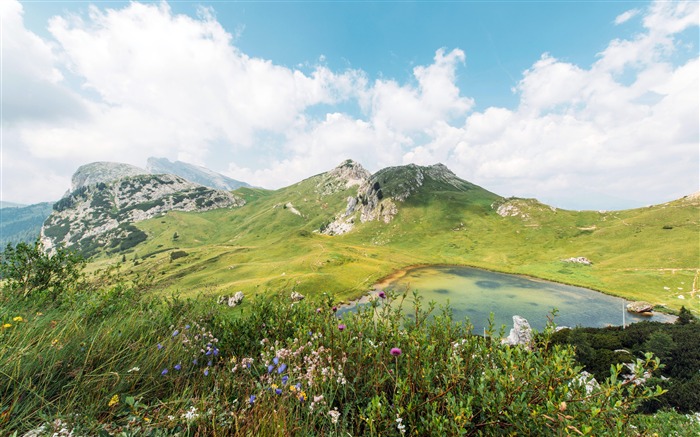 2018, naturaleza, paisaje, HD, cuarto álbum Vistas:32888