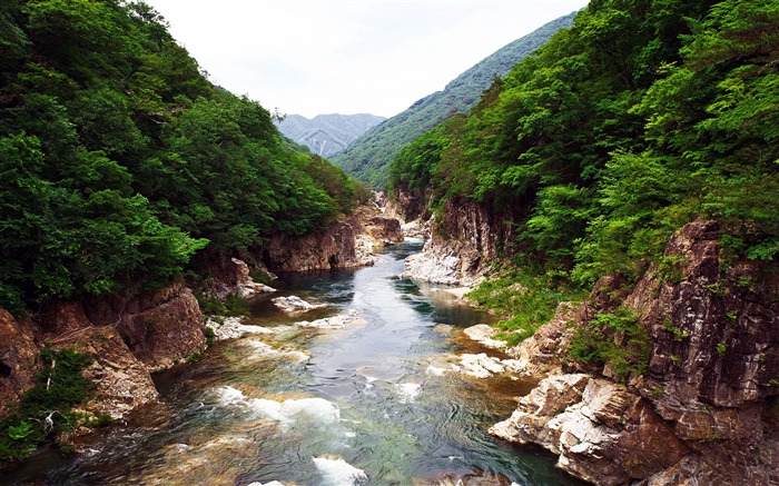 日本，日光，国家公园，森林，河流 浏览:13470