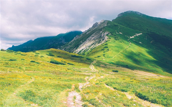 户外，旅游，绿色，草甸，山，风景 浏览:11056