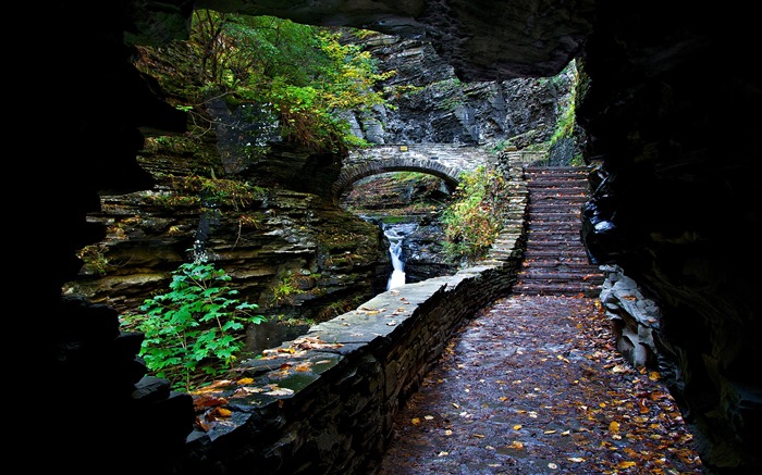 Lluvioso, Bosque, Cascadas, Cueva, Escaleras de piedra Vistas:13522