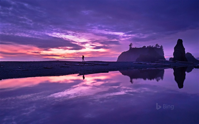 Washington Olympic National Park Ruby Beach 2018 Bing Views:8168 Date:2018/5/16 10:22:43