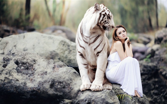 White Tiger China white dress pretty model Views:13724 Date:2018/5/26 11:26:46