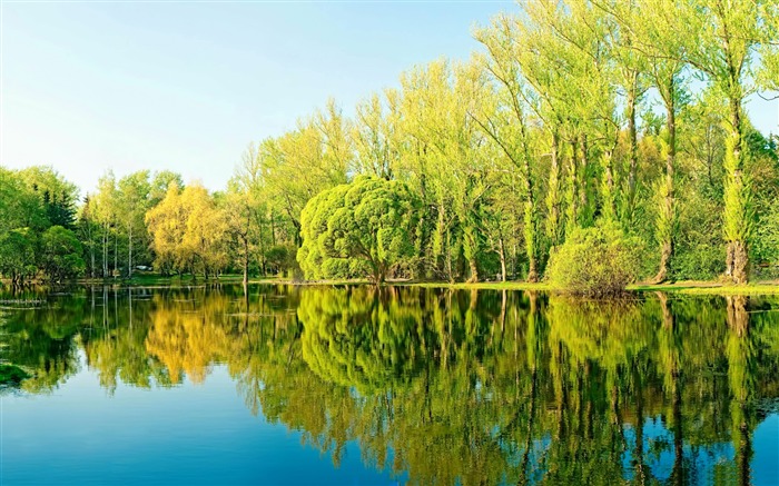 Forest summer sunshine trees lake reflection Views:9448 Date:2018/6/12 23:22:22