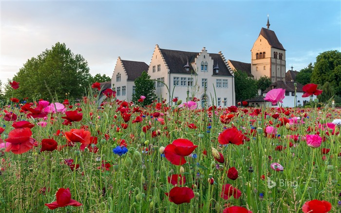 Allemagne, Architecture, Île, Fleur rouge, 2018, Bing Vues:7115