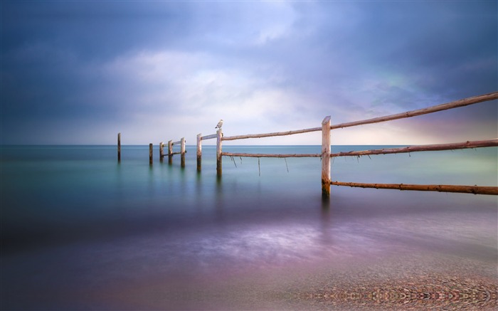 Mer Baltique, plage, mouette blanche, matin, horizon Vues:6109