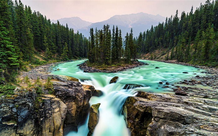 Canada, Parc national de Jasper, Jungle, Chute d'eau Vues:11638