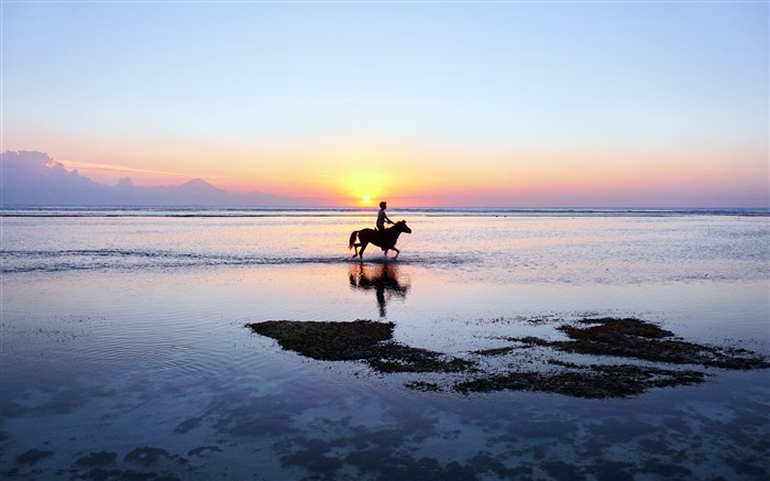 Man Horse Riding Beach Sunrise Silhouette Skyline Views:7967 Date:2018/7/15 7:29:37