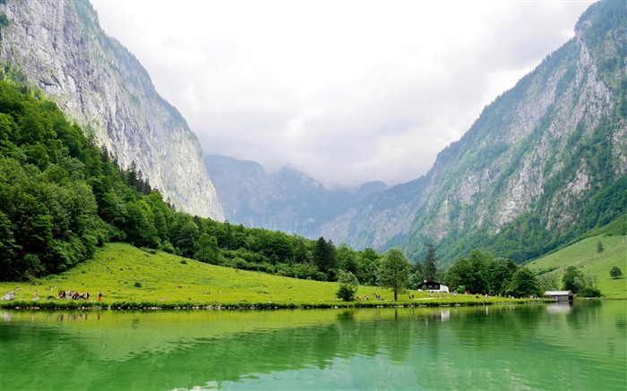 Verão, alpes, vale, verde, selva, lago Visualizações:13401