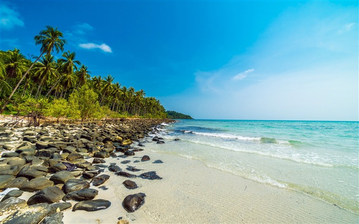 Tropical, île, plage, palmier, rochers, ciel bleu Vues:9904