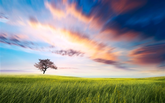 Hermoso, verde, pradera, nubes, puesta de sol Vistas:13905