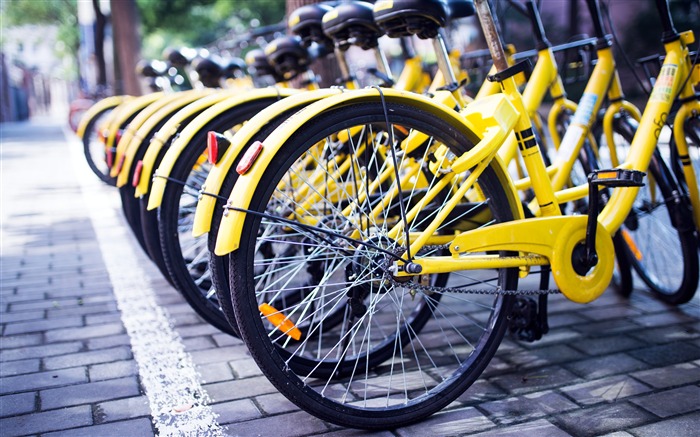 中国，互联网，OFO，共享自行车，照片 浏览:5679