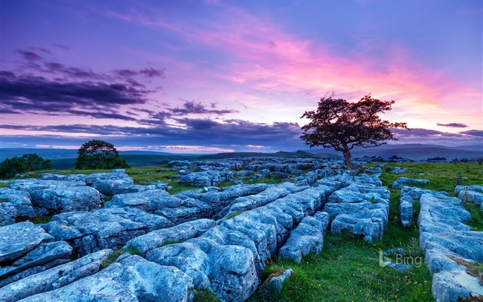 Inglaterra, yorkshire vales, parque nacional, pedras, 2018, Bing Visualizações:7685