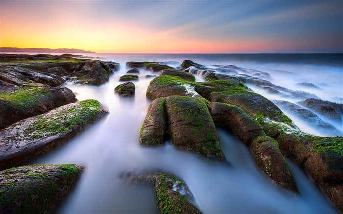 Verde, algas, planta, rocha, praia, skyline, paisagem Visualizações:7781