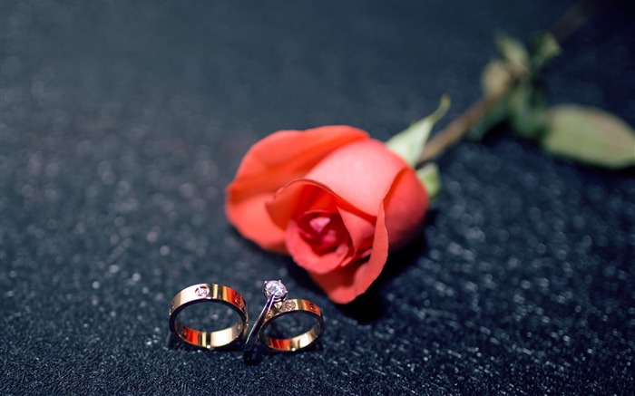 Romantic love red rose couple ring Views:9713 Date:2018/8/23 9:43:24