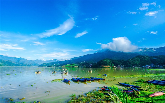 Primavera, nepal, verde, fewa, lago, céu azul Visualizações:12720