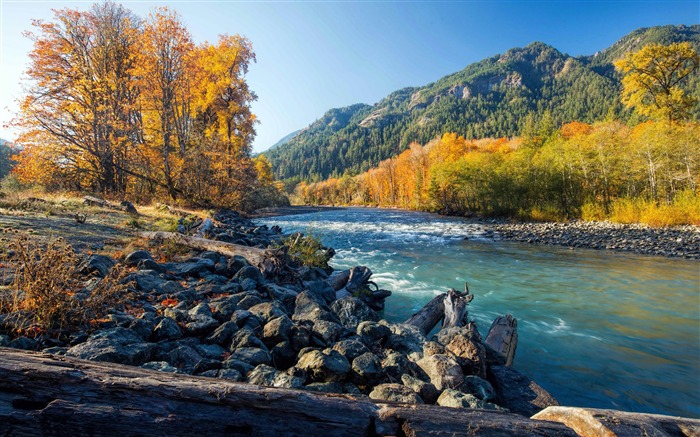 Estados unidos de américa, otoño, piedras, amarillo, bosques, río Vistas:11069