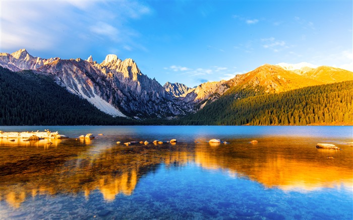 Outono, paisagem, Tibet, montanha de neve, lago, selva Visualizações:19924