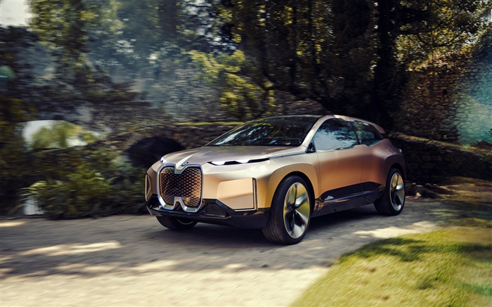 BMW, 2019, Visão, Inext, Carros Elétricos Visualizações:6646