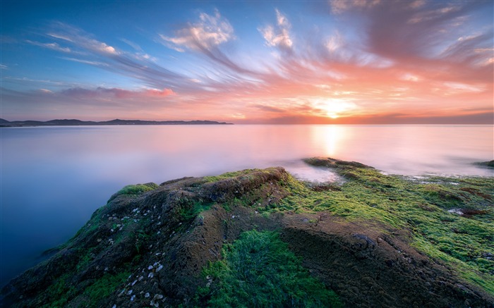 Playa, roca, verde, musgo, puesta de sol, paisaje Vistas:7738