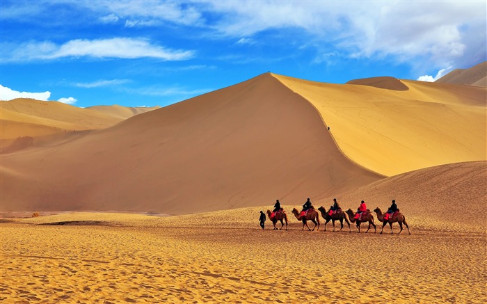 China, desierto, equipo de camellos, ruta de la seda Vistas:14329