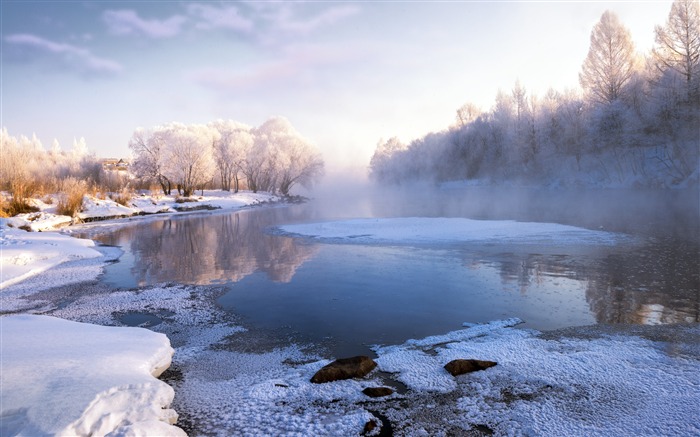 China, Heilongjiang, inverno, manhã, gelo de geada Visualizações:9860