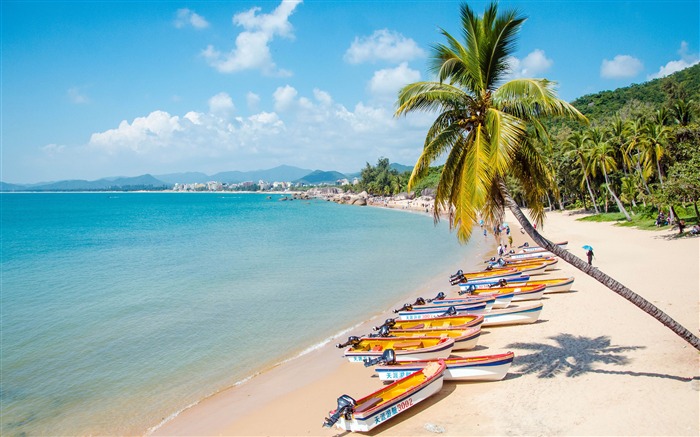 China Sanya beautiful beach palm speedboat Views:12528 Date:2018/9/7 6:44:21