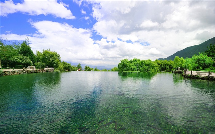 丛林，山，绿色，湖，自然，风景 浏览:9408