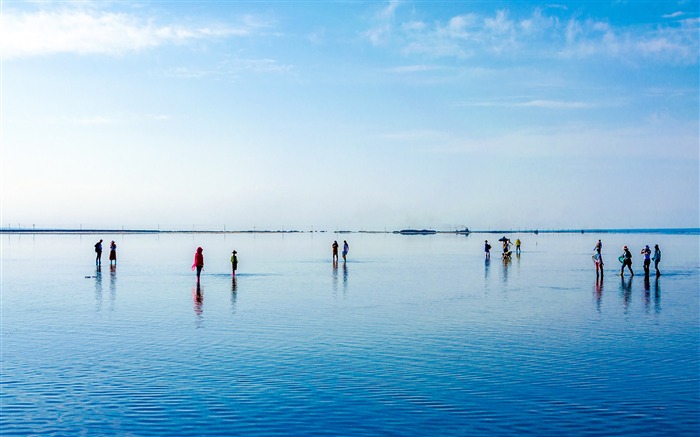 Qinghai, azul, cartão de chá Salt Lake, horizonte, paisagem Visualizações:9177