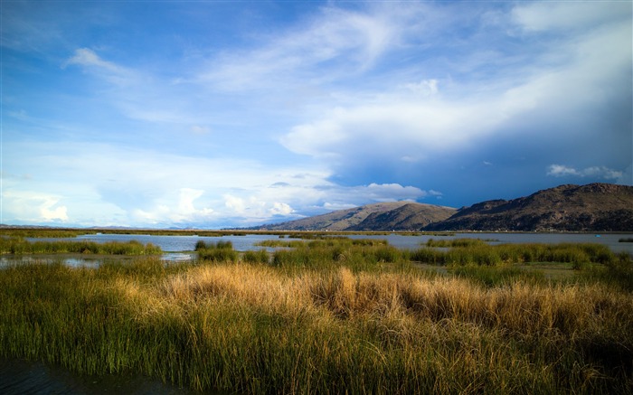 América del Sur, Lago Titicaca, humedales, paisaje Vistas:8736