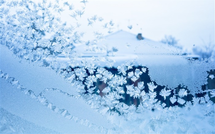 Invierno, ventana, vidrio, cristalino, copo de nieve Vistas:6749