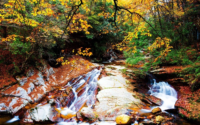 Setembro de 2018, linda, natureza, paisagem, foto Visualizações:25651