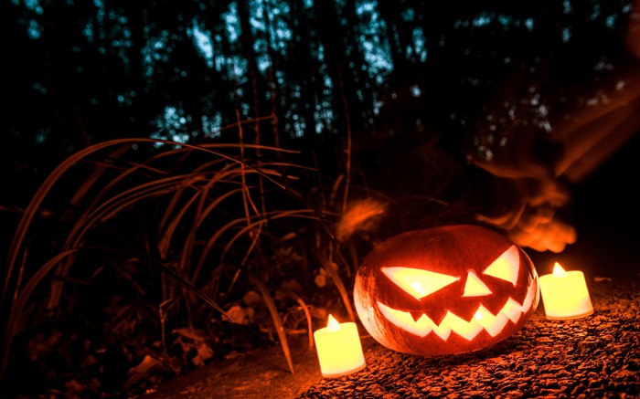 2018 Halloween Pumpkin Terror Forest Night Views:8685 Date:2018/10/15 6:23:59