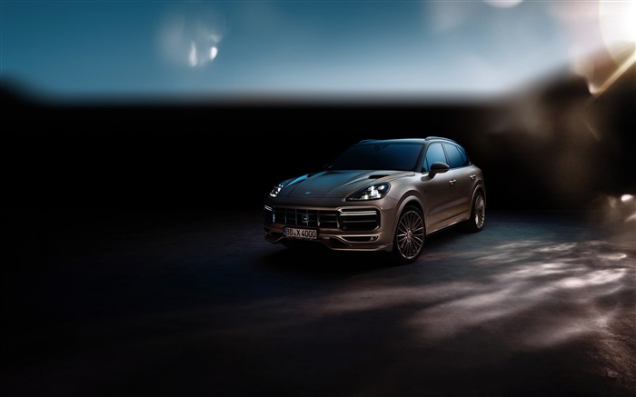 2018、Porsche、Cayenne、Turbo Techart ブラウズ:7181