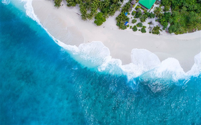 Aerial view blue ocean beach palm trees Views:14228 Date:2018/10/26 7:18:17