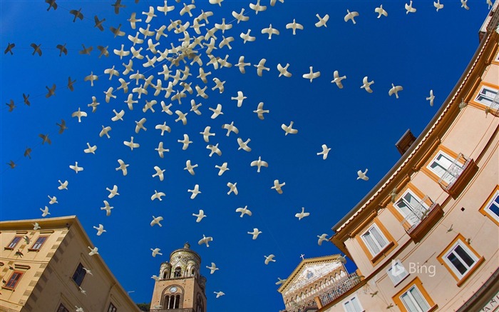 Italie, Amalfi, place de la cathédrale, art des pigeons Vues:5875