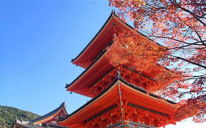 日本，京都，淺草寺，藍天，風景 查看次數:14698