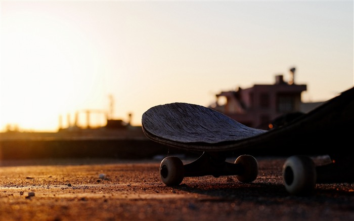 Skate, extremo, esportes, pôr do sol, closeup Visualizações:10248