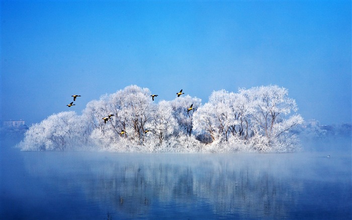 2018, Hermoso, Invierno, Bosque, Lago, Cielo azul Vistas:5902