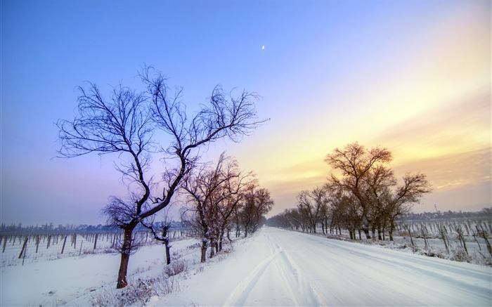 Cubierto de nieve, invierno frío, camino, paisaje Vistas:11840