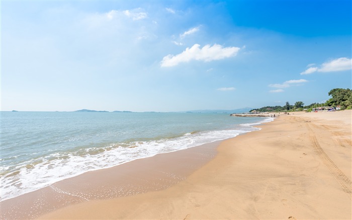 여름, 해변, 푸른 하늘, 구름, 파, 풍경 찾아보기 :16485