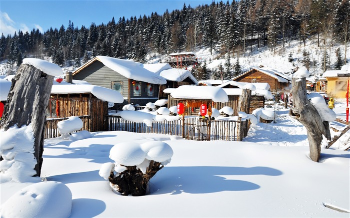 陽光，冬季，森林，村莊，雪，景觀 查看次數:10367