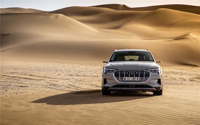 Audi, E-tron, Desert, 2019, Concept Car Vues:6581