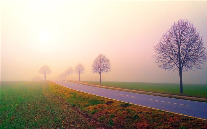 Otoño, mañana, niebla, camino, naturaleza, paisaje. Vistas:8645