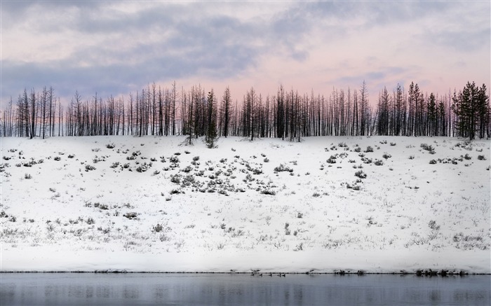 2018, Selva, Invierno frío, Costa del río, Nieve Vistas:8112