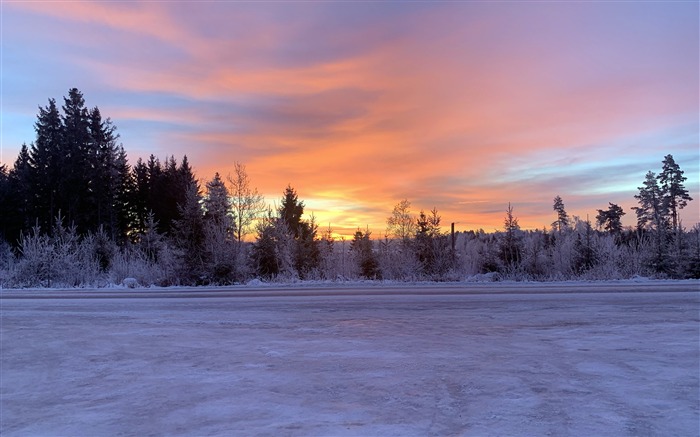 2018, Selva, Invierno frío, Snow Hill, Amanecer Vistas:9579