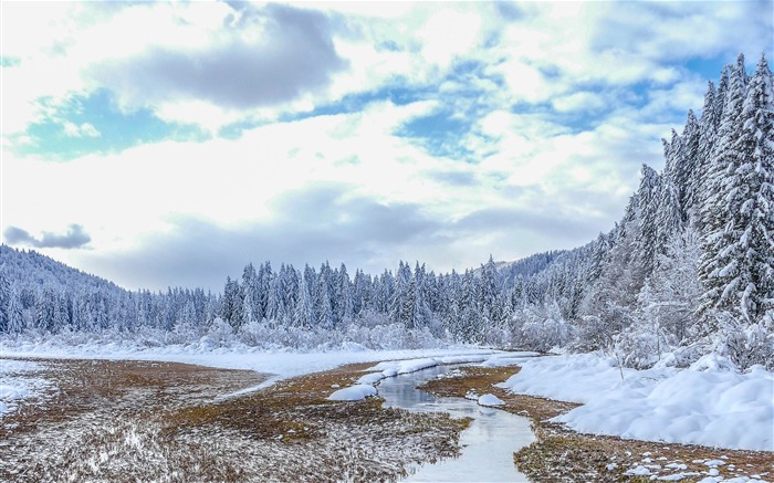 2018, Invierno, Bosque, Río, Abeto, Nieve Vistas:8326