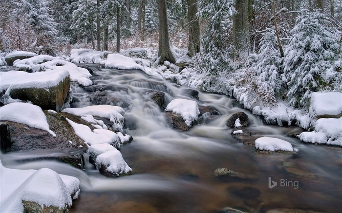 Bode River、Harz、ニーダーザクセン州、ドイツ、2018、Bing、壁紙 ブラウズ:5801