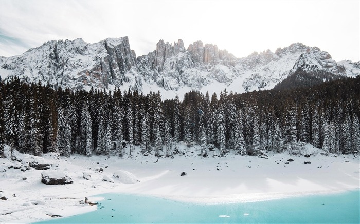 Selva, Invierno, Abeto, Montañas de Nieve, Lago Vistas:9506