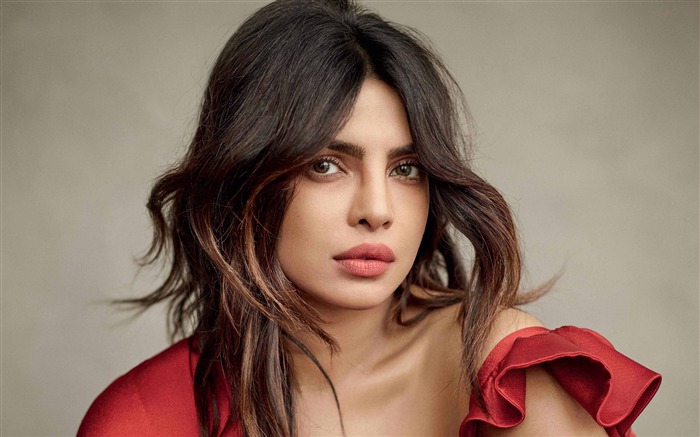 Priyanka Chopra, 2019, Película, Actor, Cartel Vistas:9805